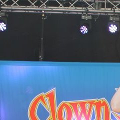 Clown huren in Maasland